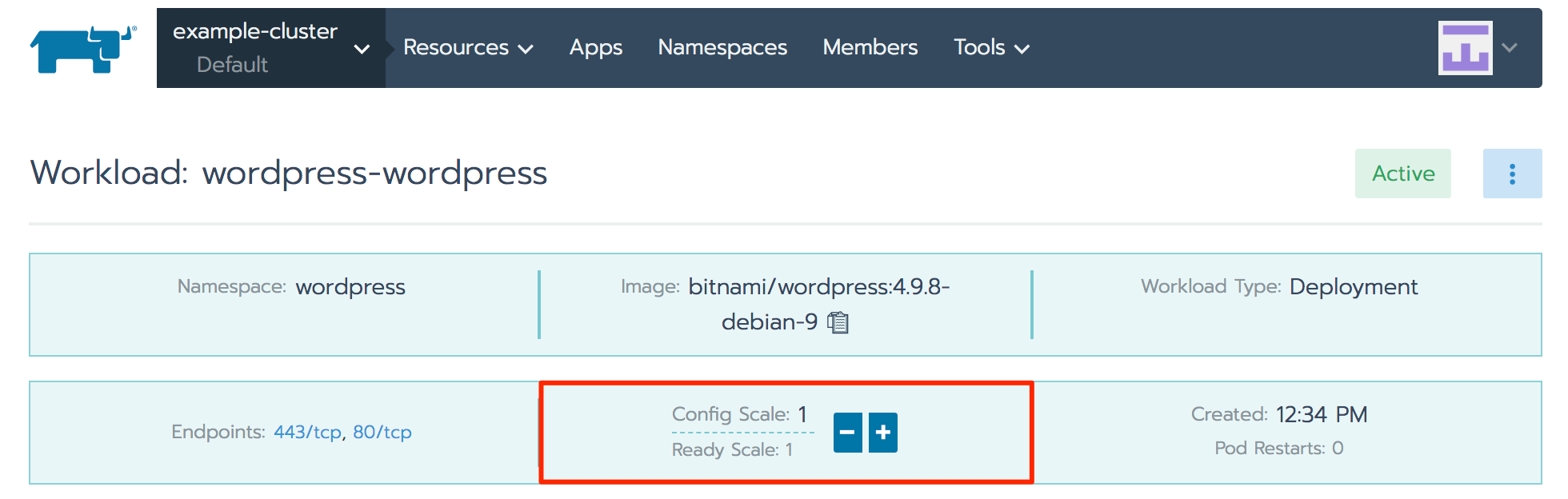 Rancher WordPress deployment detail view - config scale highlighted